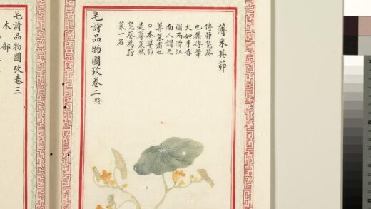 毛诗品物图考（二）册 薄采其茆 1.jpg