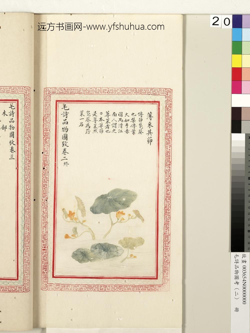 毛诗品物图考（二）册-薄采其茆-