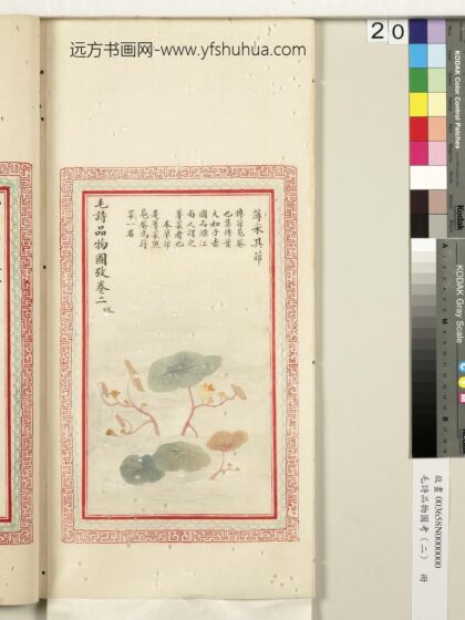 毛诗品物图考（二）册 薄采其茆 2.jpg