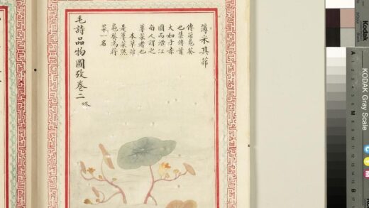 毛诗品物图考（二）册 薄采其茆 2.jpg