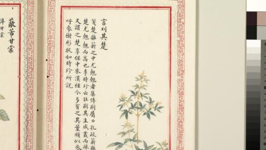 毛诗品物图考（二）册 言刈其楚 1.jpg