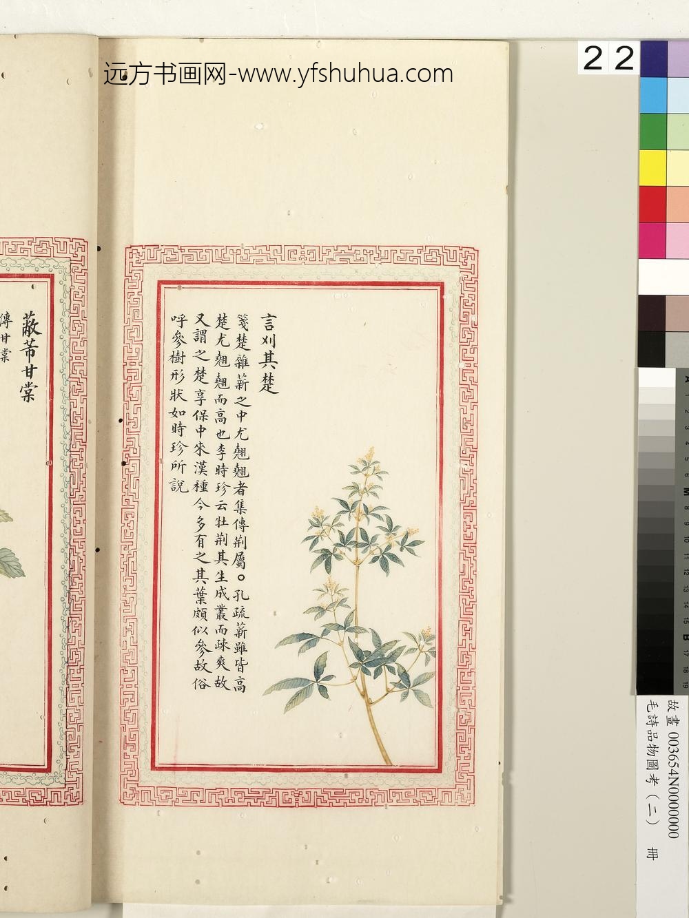 毛诗品物图考（二）册-言刈其楚-