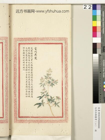 毛诗品物图考（二）册 言刈其楚 2.jpg