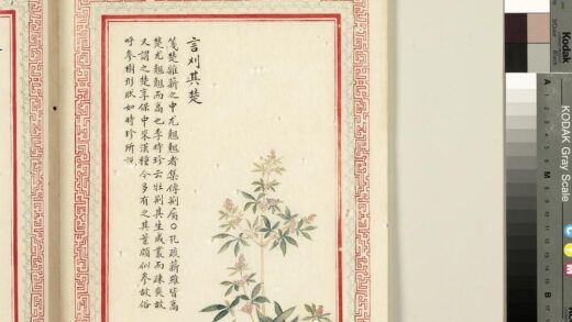 毛诗品物图考（二）册 言刈其楚 2.jpg