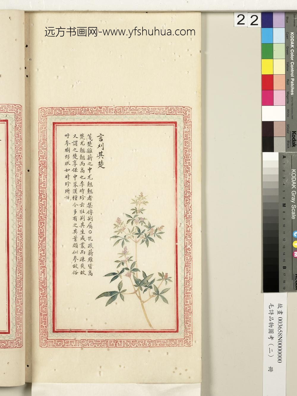 毛诗品物图考（二）册-言刈其楚-