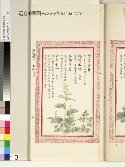 毛诗品物图考（二）册 言采其芹终朝采绿终朝采蓝白华菅兮 1.jpg