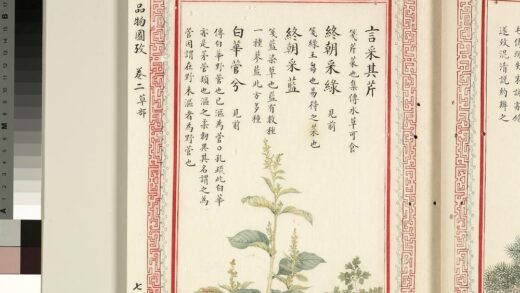 毛诗品物图考（二）册 言采其芹终朝采绿终朝采蓝白华菅兮 1.jpg