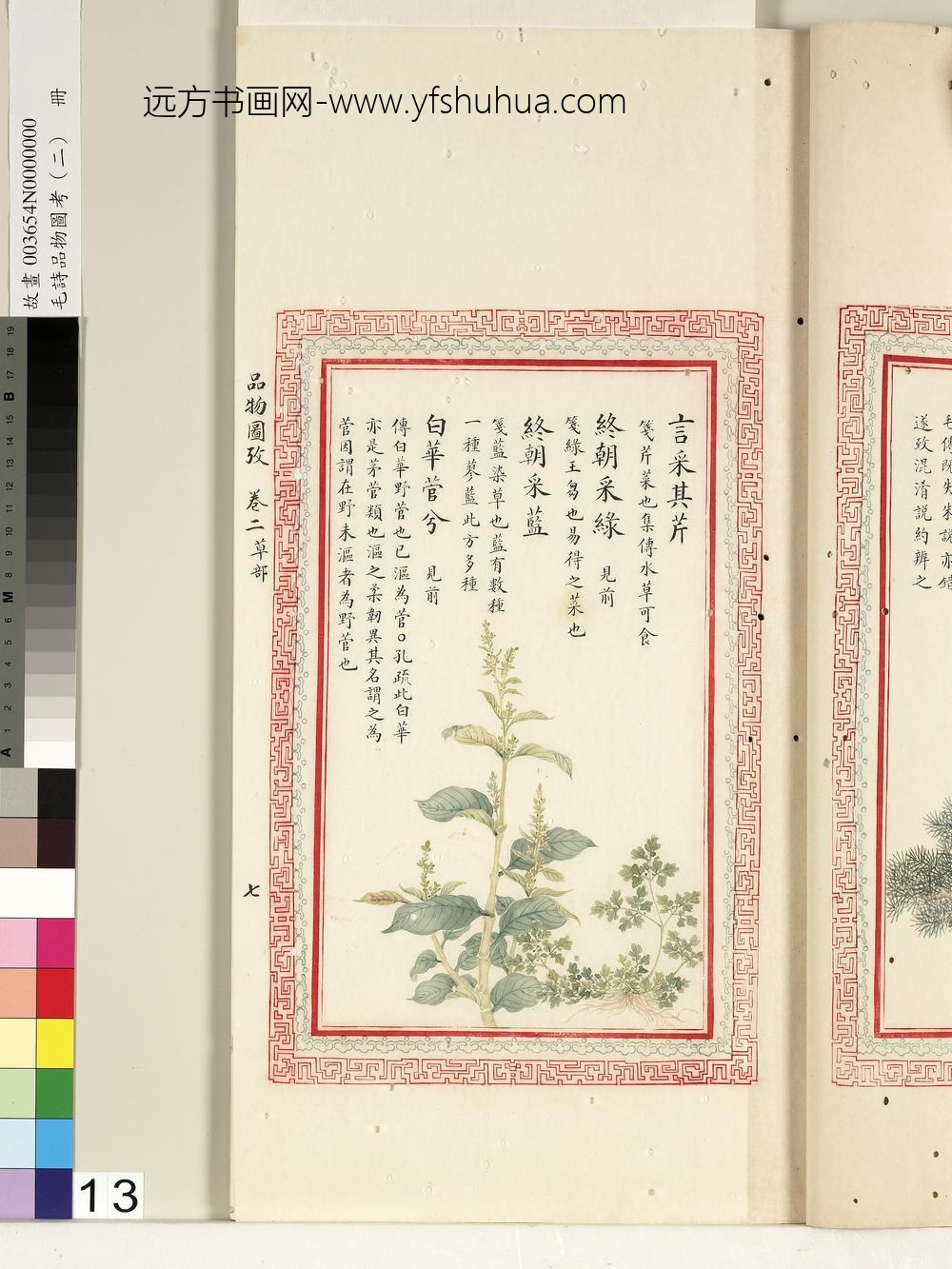 毛诗品物图考（二）册-言采其芹终朝采绿终朝采蓝白华菅兮-