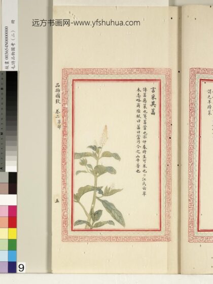 毛诗品物图考（二）册 言采其葍 1.jpg