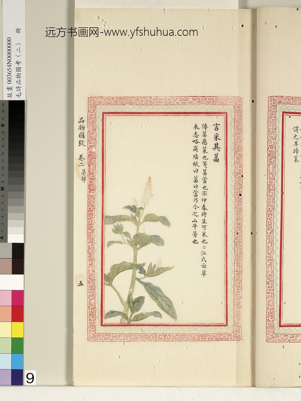 毛诗品物图考（二）册-言采其葍-