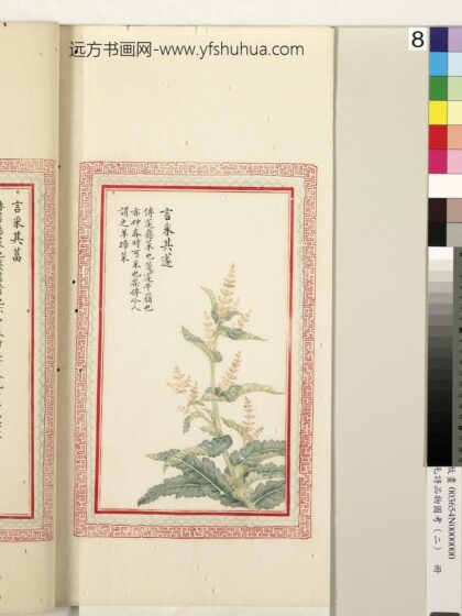 毛诗品物图考（二）册 言采其蓫 1.jpg