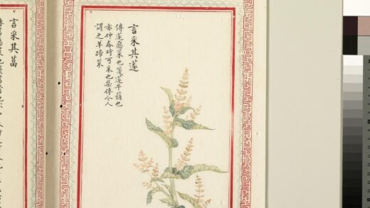 毛诗品物图考（二）册 言采其蓫 1.jpg