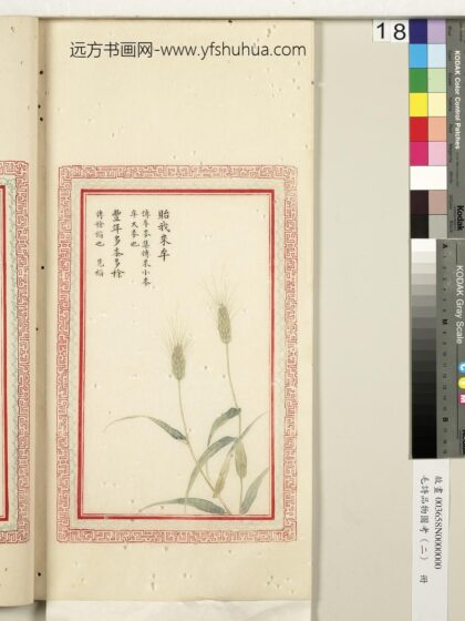 毛诗品物图考（二）册 贻我来牟丰年多黍多稌 2.jpg