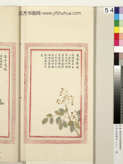 毛诗品物图考（二）册 采荼薪樗 1.jpg