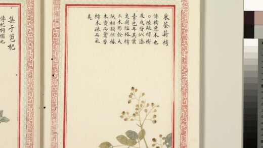 毛诗品物图考（二）册 采荼薪樗 1.jpg