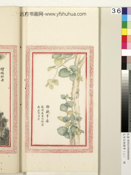 毛诗品物图考（二）册 降观于桑 1.jpg