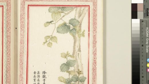 毛诗品物图考（二）册 降观于桑 2.jpg
