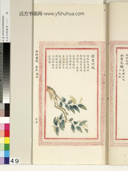 毛诗品物图考（二）册 隰有六驳 1.jpg