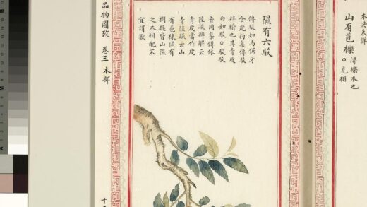 毛诗品物图考（二）册 隰有六驳 1.jpg
