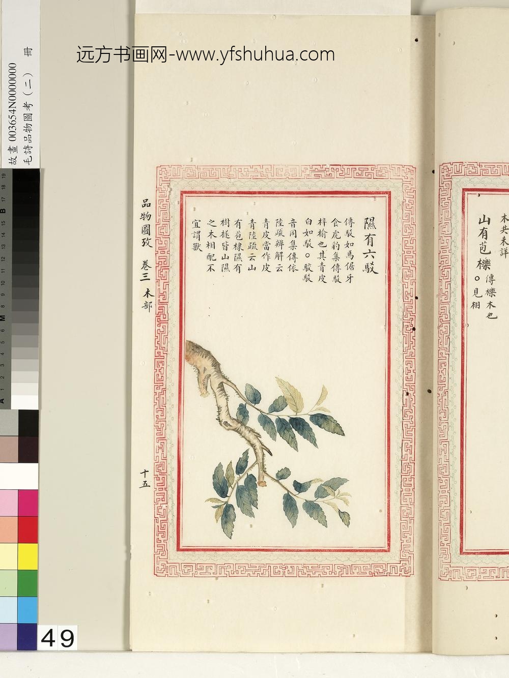 毛诗品物图考（二）册-隰有六驳-