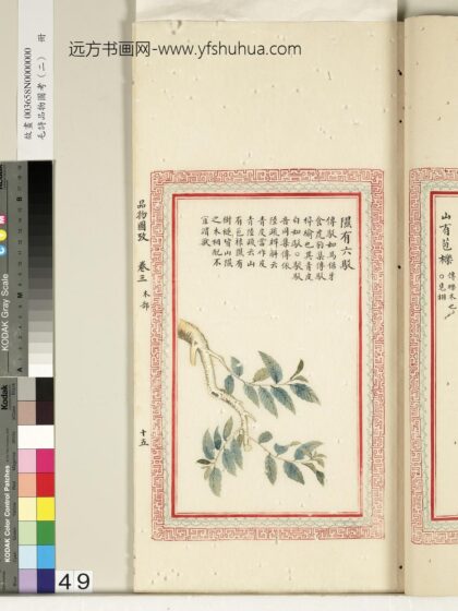 毛诗品物图考（二）册 隰有六驳 2.jpg