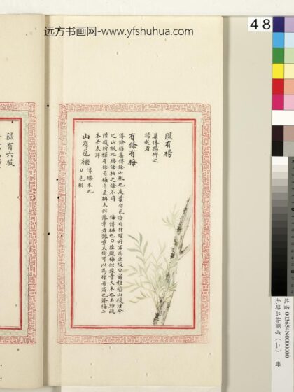 毛诗品物图考（二）册 隰有杨有条有梅山有苞栎 1.jpg