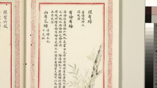 毛诗品物图考（二）册 隰有杨有条有梅山有苞栎 1.jpg