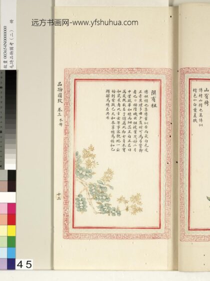 毛诗品物图考（二）册 隰有杻 1.jpg