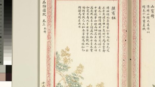 毛诗品物图考（二）册 隰有杻 1.jpg