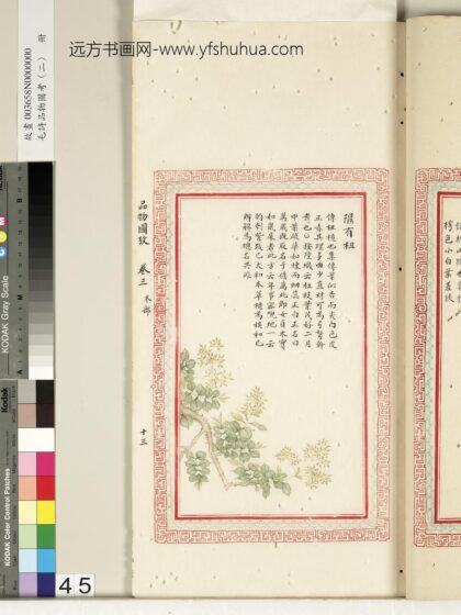 毛诗品物图考（二）册 隰有杻 2.jpg