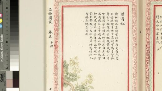 毛诗品物图考（二）册 隰有杻 2.jpg