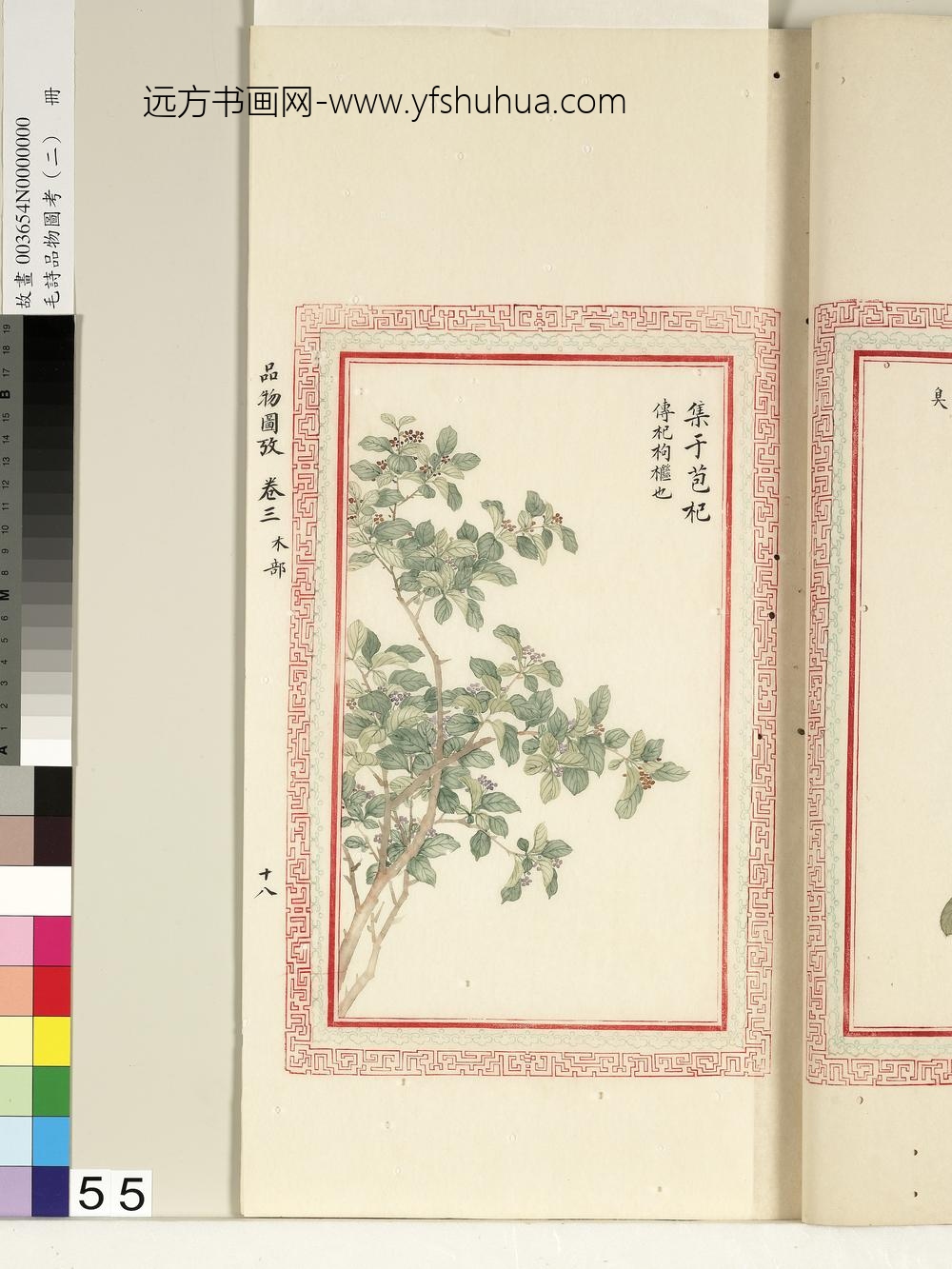 毛诗品物图考（二）册-集于苞杞-