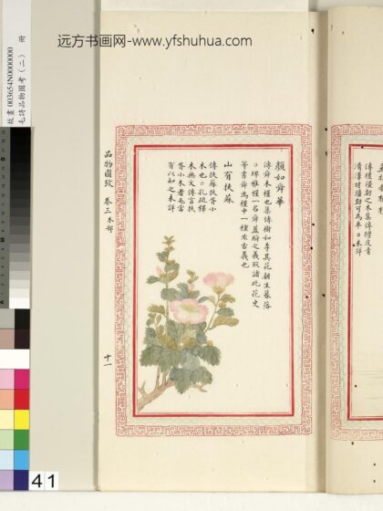 毛诗品物图考（二）册 颜如舜华山有扶苏 1.jpg