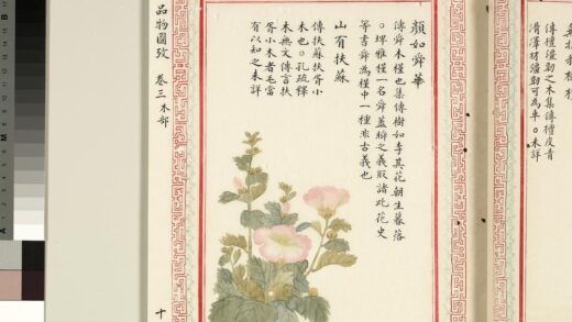 毛诗品物图考（二）册 颜如舜华山有扶苏 1.jpg