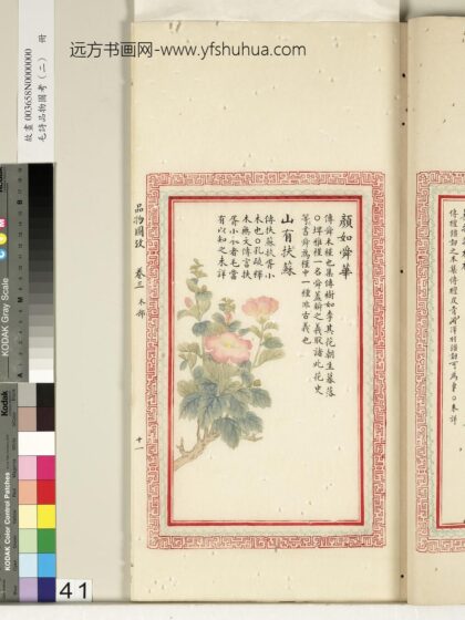 毛诗品物图考（二）册 颜如舜华山有扶苏 2.jpg