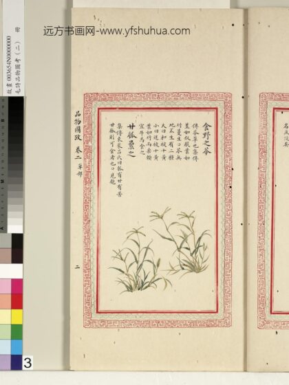毛诗品物图考（二）册 食野之芩甘瓠累之 1.jpg