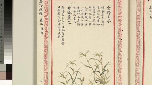 毛诗品物图考（二）册 食野之芩甘瓠累之 1.jpg