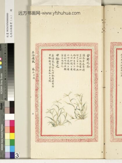 毛诗品物图考（二）册 食野之芩甘瓠累之 2.jpg