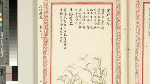毛诗品物图考（二）册 食野之芩甘瓠累之 2.jpg