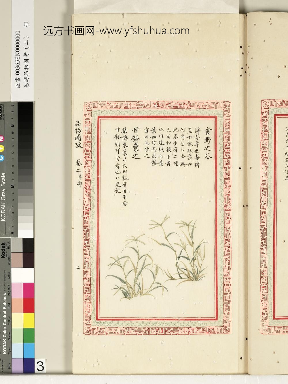 毛诗品物图考（二）册-食野之芩甘瓠累之-