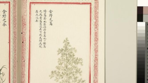 毛诗品物图考（二）册 食野之蒿 1.jpg