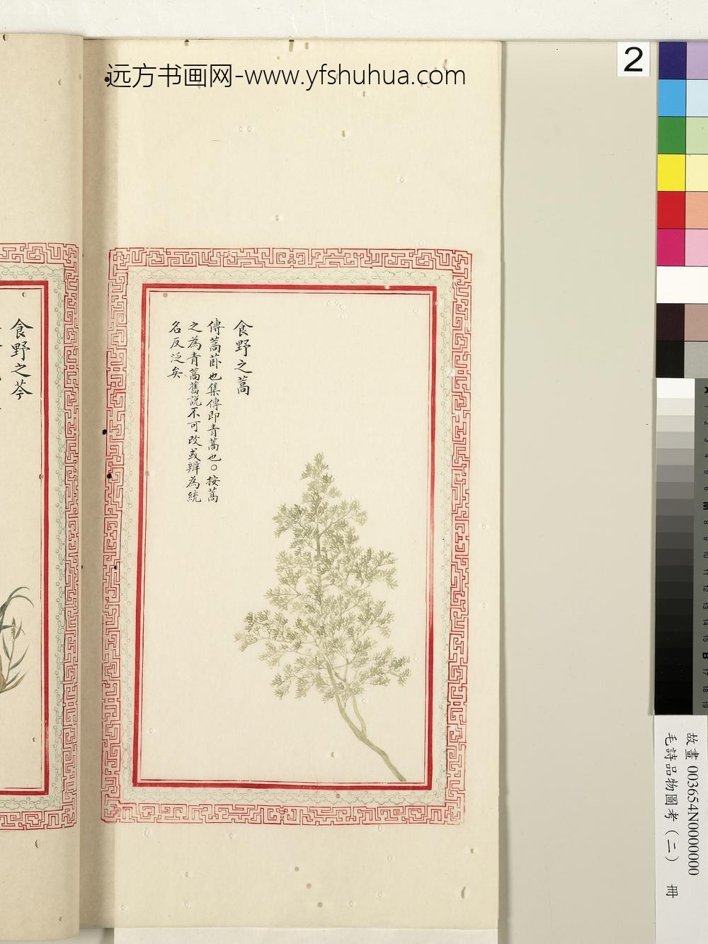 毛诗品物图考（二）册-食野之蒿-