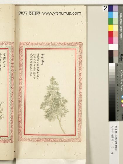 毛诗品物图考（二）册 食野之蒿 2.jpg