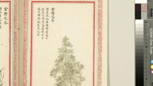 毛诗品物图考（二）册 食野之蒿 2.jpg