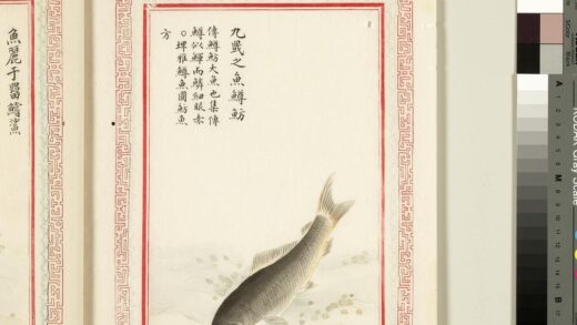 毛诗品物图考（四）册 九罭之鱼鳟鲂 1.jpg