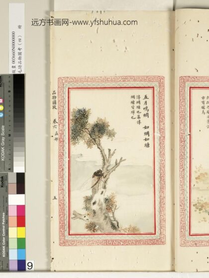 毛诗品物图考（四）册 五月鸣蜩如蜩如螗 2.jpg
