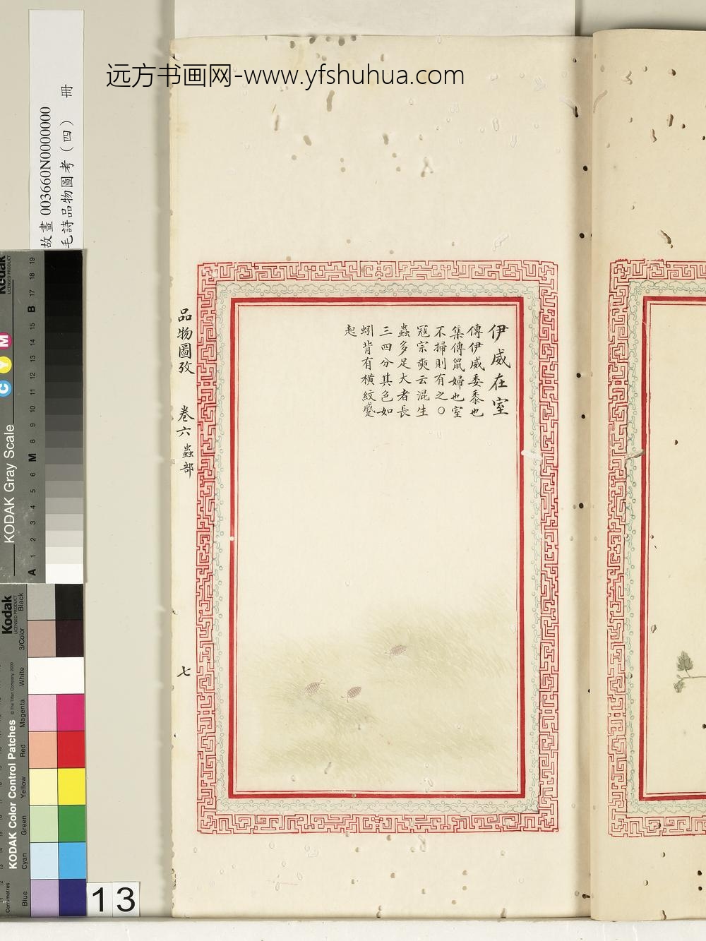 毛诗品物图考（四）册-伊威在室-