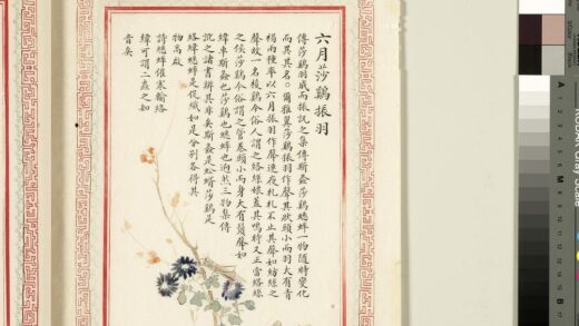 毛诗品物图考（四）册 六月莎鸡振羽 1.jpg