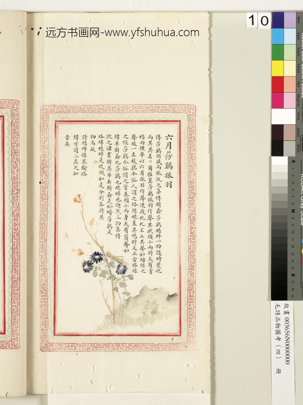 毛诗品物图考（四）册-六月莎鸡振羽-