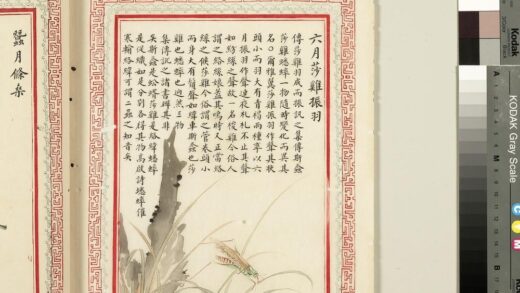 毛诗品物图考（四）册 六月莎鸡振羽 2.jpg